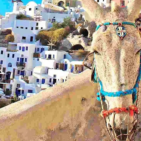Luxury Santorini Potamos Luxury House 2 Bedrooms Private Pool Serene Location Episkopi *